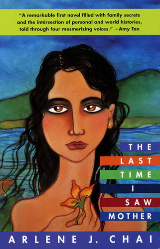 The Last Time I Saw Mother: A Novel book cover by Arlene J. Chai