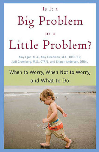 Is It a Big Problem or a Little Problem?: When to Worry, When Not to Worry, and What to Do book cover by Amy Egan, Amy Freedman, Judi Greenberg, Sharon Anderson