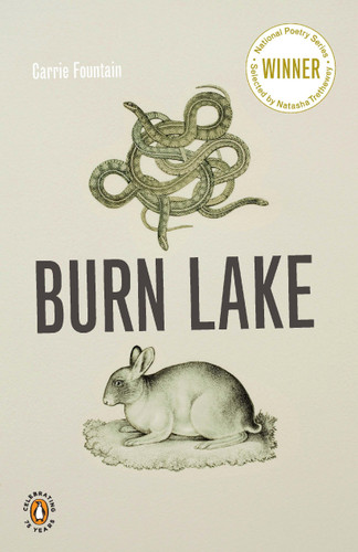 Burn Lake (Penguin Poets) book cover by Carrie Fountain