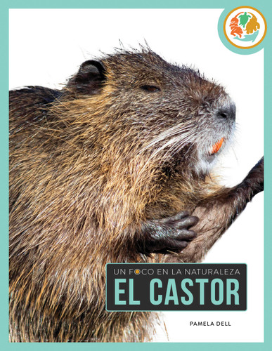 El castor (Un foco en la naturaleza) book cover by Pamela Dell