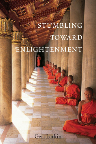 Stumbling Toward Enlightenment book cover by Geri Larkin