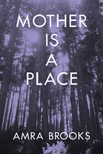 Mother Is a Place book cover by Amra Brooks