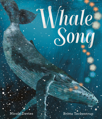 Whale Song book cover by Nicola Davies