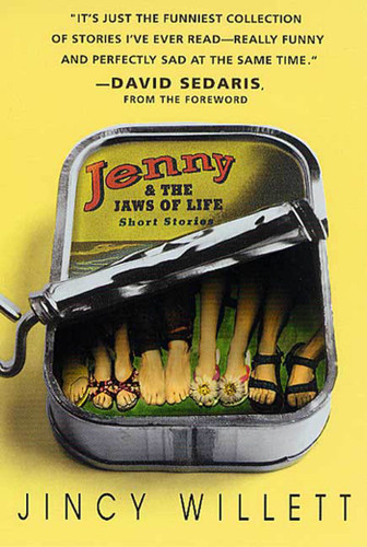 Jenny and the Jaws of Life: Short Stories book cover by Jincy Willett