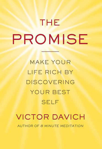 The Promise: Make Your Life Rich by Discovering Your Best Self book cover by Victor Davich