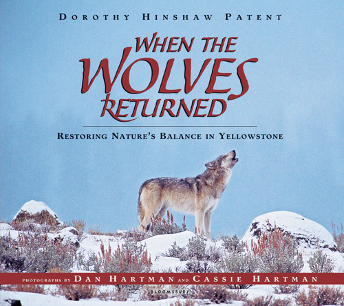 When the Wolves Returned: Restoring Nature's Balance in Yellowstone book cover by Dorothy Hinshaw Patent