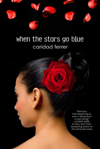 When the Stars Go Blue: A Novel book cover by Caridad Ferrer