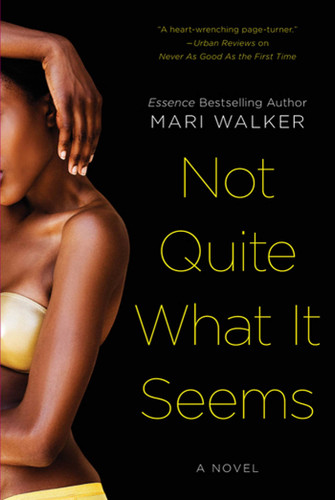 Not Quite What It Seems: A Novel book cover by Mari Walker