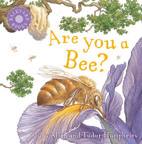 Are You a Bee? (Backyard Books) book cover by Judy Allen