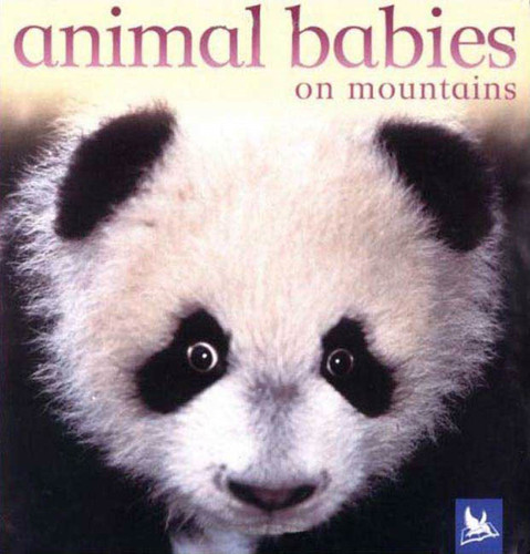Animal Babies on Mountains (Animal Babies) book cover by Editors of Kingfisher