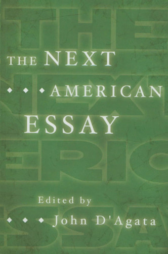 The Next American Essay book cover by John D'Agata