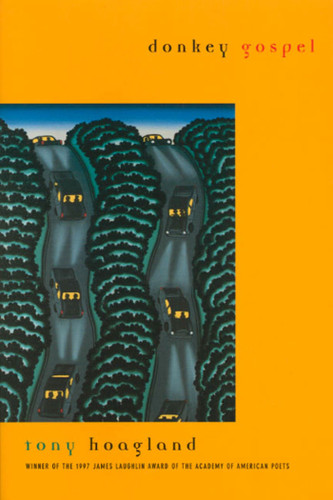 Donkey Gospel: Poems book cover by Tony Hoagland