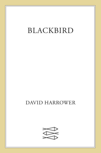 Blackbird: A Play book cover by David Harrower