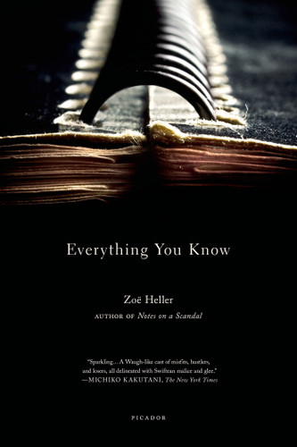 Everything You Know: A Novel book cover by Zoë Heller
