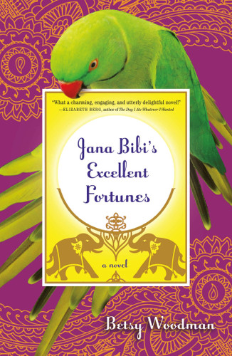 Jana Bibi's Excellent Fortunes: A Novel (Jana Bibi Adventures #1) book cover by Betsy Woodman