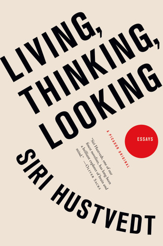 Living, Thinking, Looking: Essays book cover by Siri Hustvedt