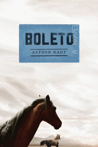 Boleto: A Novel book cover by Alyson Hagy
