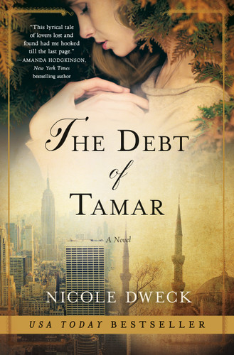 The Debt of Tamar: A Novel book cover by Nicole Dweck