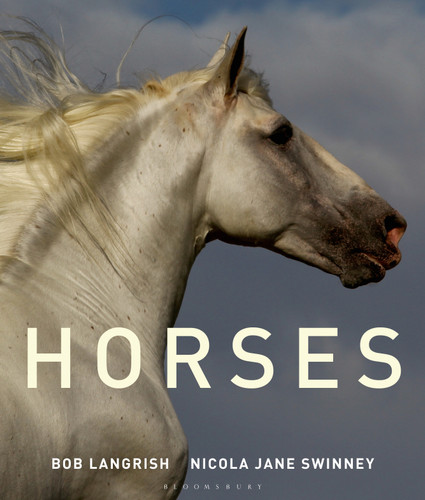 Horses book cover by Nicola Jane Swinney