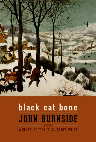 Black Cat Bone: Poems book cover by John Burnside