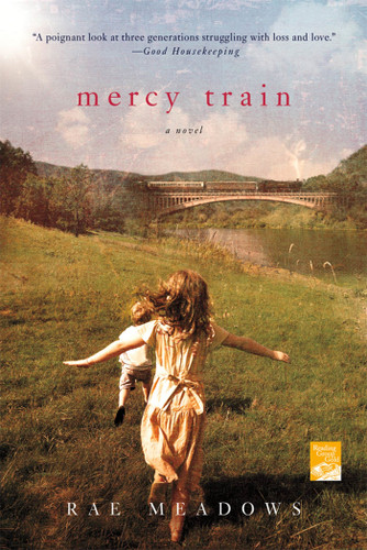 Mercy Train: A Novel book cover by Rae Meadows