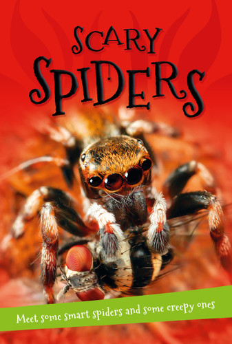 It's All About... Scary Spiders (It's all about…) book cover by Editors of Kingfisher