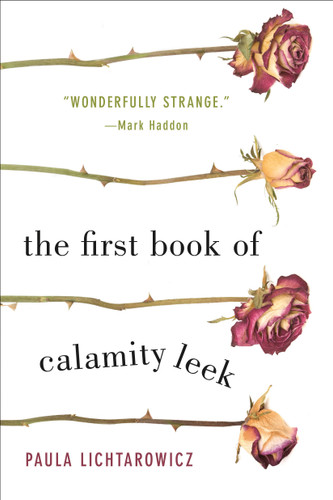 The First Book of Calamity Leek: A Novel book cover by Paula Lichtarowicz