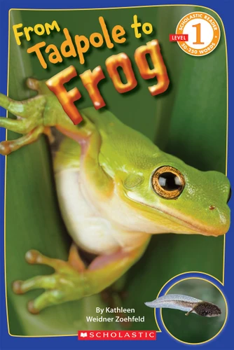From Tadpole to Frog (Scholastic Reader, Level 1) (Scholastic Reader, Level 1) book cover by Kathleen Weidner Zoehfeld
