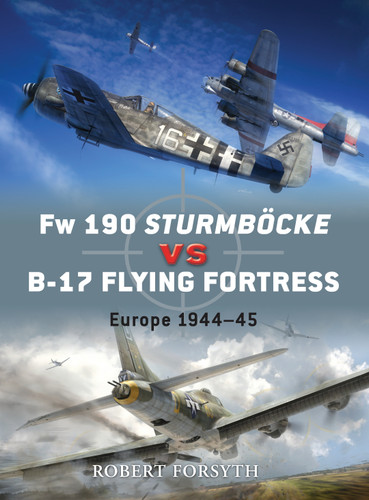 Fw 190 Sturmböcke vs B-17 Flying Fortress: Europe 1944–45 (Duel #24) book cover by Robert Forsyth