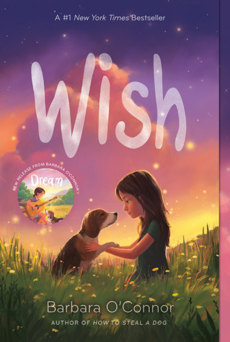 Wish book cover by Barbara O'Connor