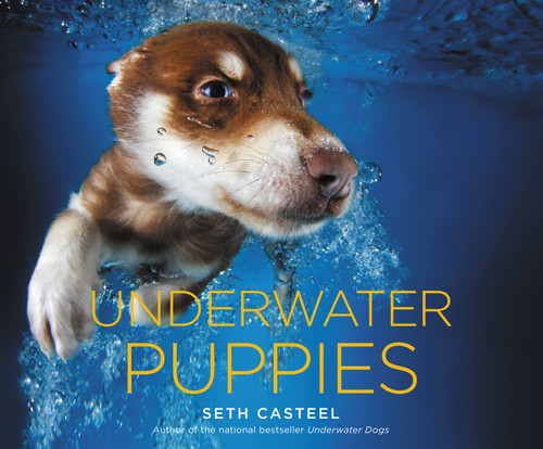 Underwater Puppies book cover by Seth Casteel