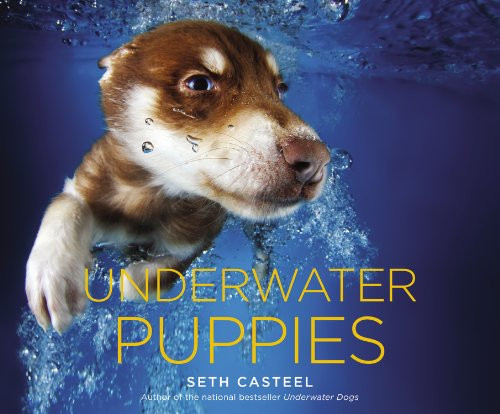 Underwater Puppies Cover