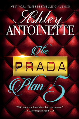The Prada Plan 5 book cover by Ashley Antoinette