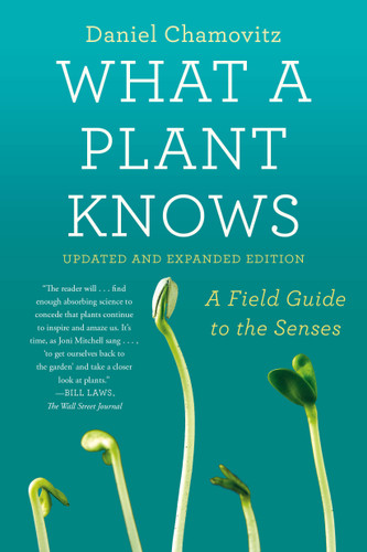 What a Plant Knows: A Field Guide to the Senses: Updated and Expanded Edition book cover by Daniel Chamovitz