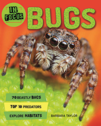 In Focus: Bugs (In Focus) book cover by Editors of Kingfisher, Barbara Taylor