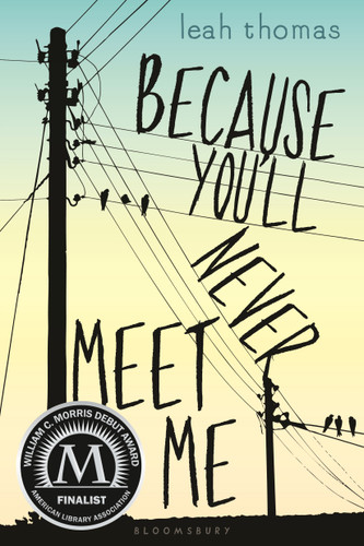 Because You'll Never Meet Me book cover by Leah Thomas