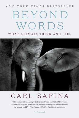 Beyond Words: What Animals Think and Feel book cover by Carl Safina