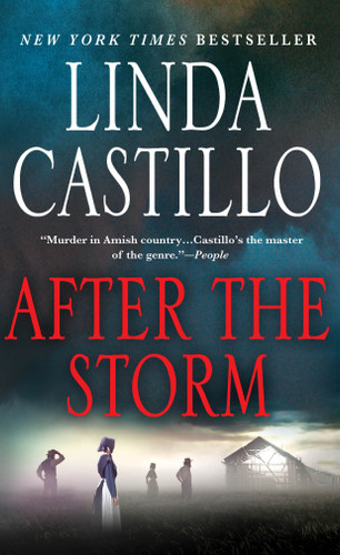 After the Storm: A Kate Burkholder Novel (Kate Burkholder #7) book cover by Linda Castillo