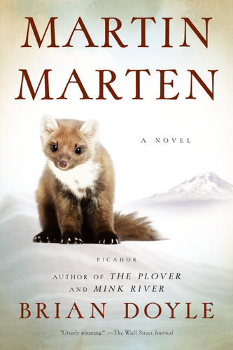 Martin Marten: A Novel book cover by Brian Doyle