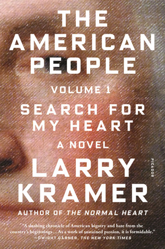 The American People: Volume 1: Search for My Heart: A Novel book cover by Larry Kramer