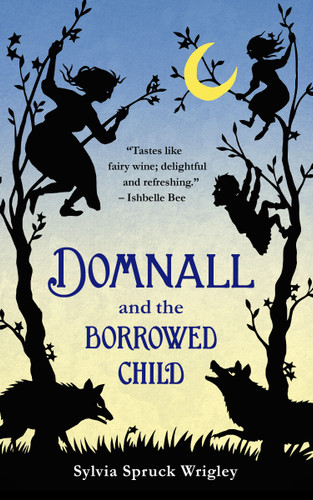 Domnall and the Borrowed Child book cover by Sylvia Spruck Wrigley