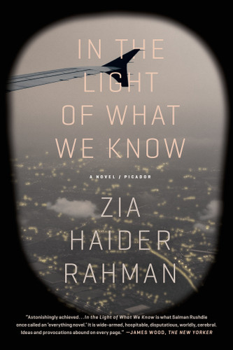 In the Light of What We Know: A Novel book cover by Zia Haider Rahman