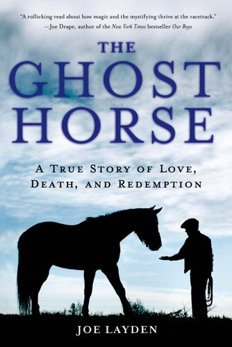 The Ghost Horse: A True Story of Love, Death, and Redemption book cover by Joe Layden