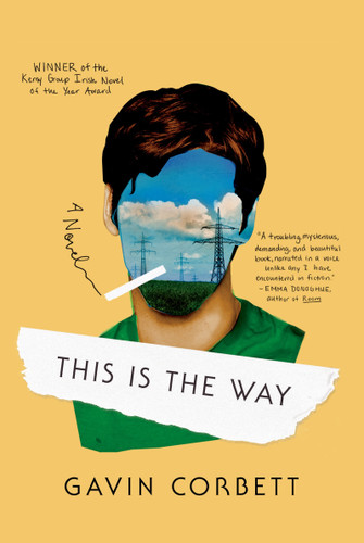 This Is the Way: A Novel book cover by Gavin Corbett