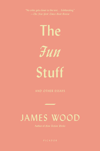 The Fun Stuff: And Other Essays book cover by James Wood
