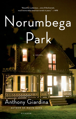 Norumbega Park: A Novel book cover by Anthony Giardina
