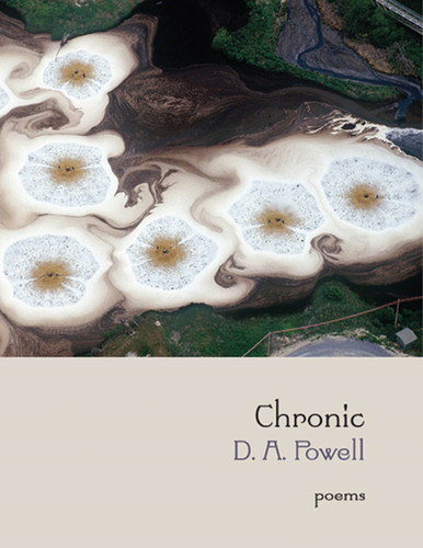 Chronic: Poems book cover by D. A. Powell