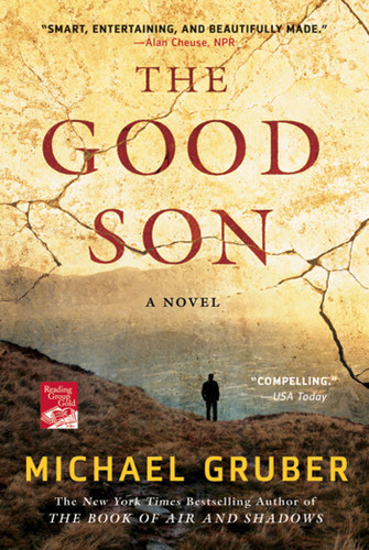 The Good Son: A Novel book cover by Michael Gruber