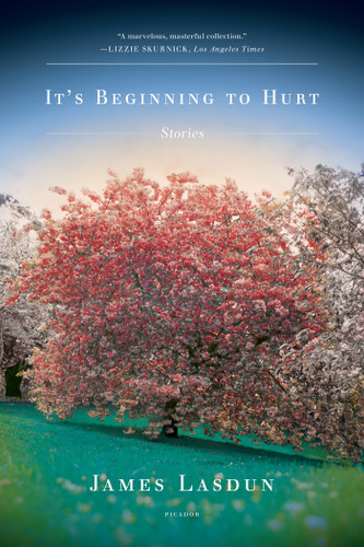 It's Beginning to Hurt: Stories book cover by James Lasdun