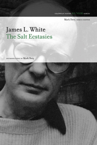 The Salt Ecstasies: Poems book cover by James L. White
